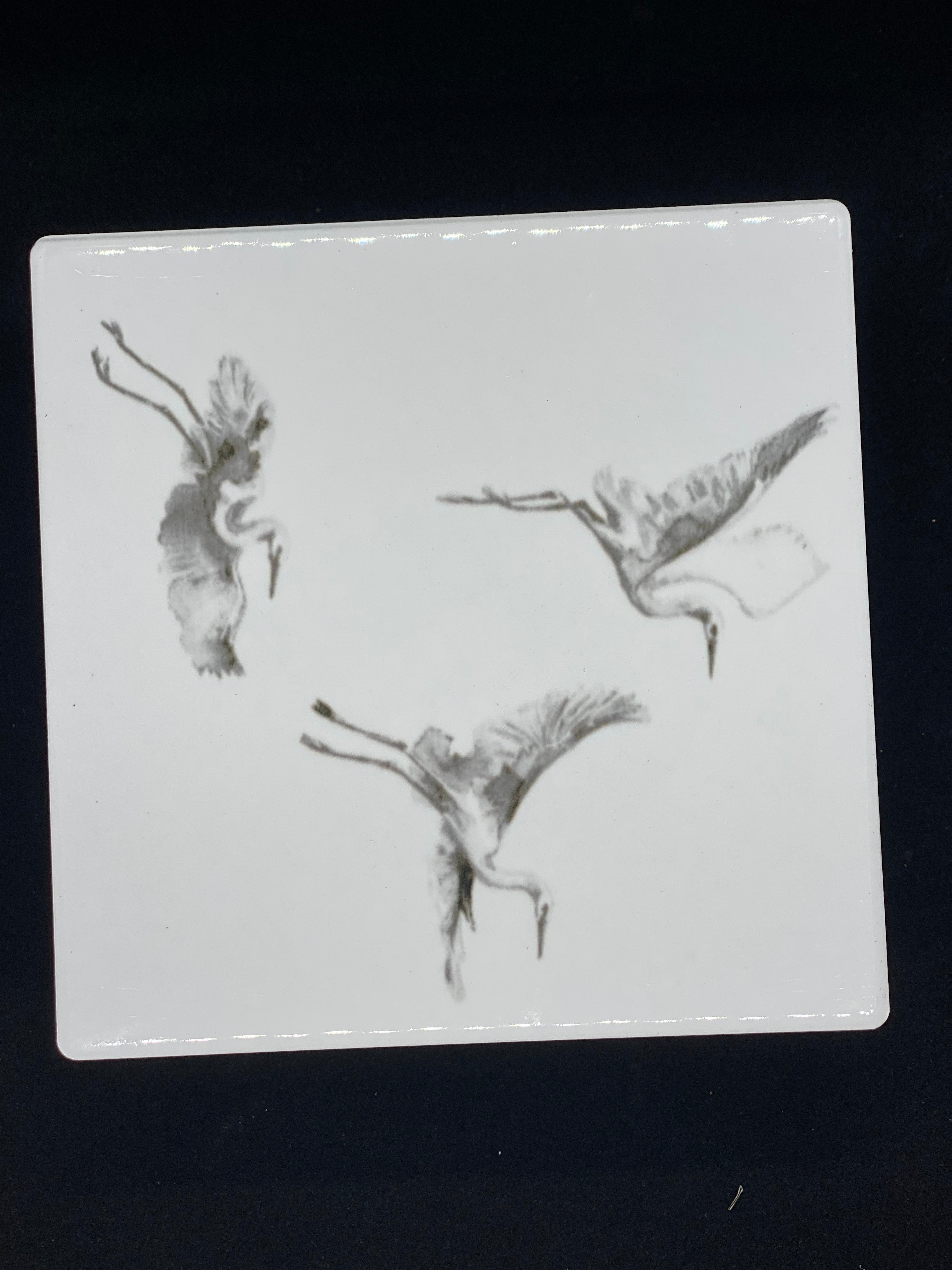 Bird in Paradise Coaster - Set of 4