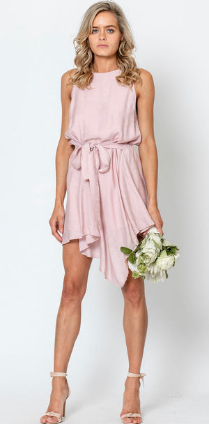 Pocket Watch Dress - Blush